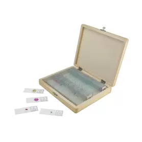 Caixa com 100 lâminas de microscópio #44412 - CM44412-DS - Celestron - Amostras preparadas