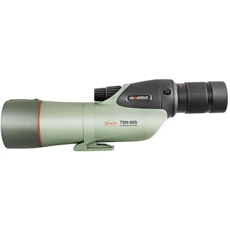 Kowa TSN-66S 25-60x66 XD visión Recta