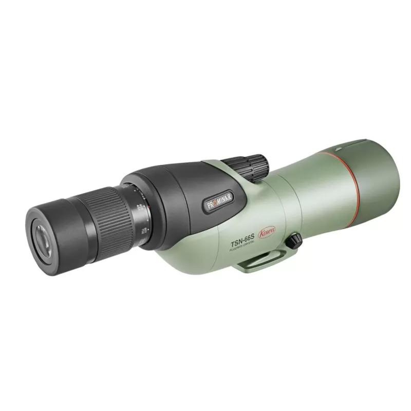 Kowa TSN-66S 25-60x66 XD visión Recta