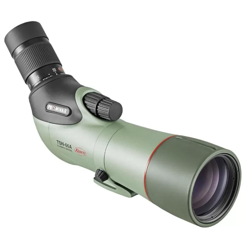 Kowa TSN-66A 25-60x66 XD visión acodada