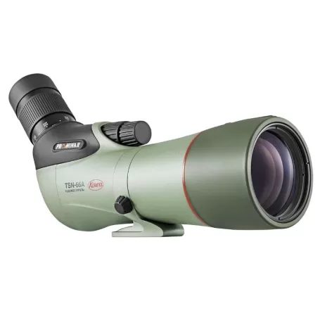 Kowa TSN-66A 25-60x66 XD visión acodada