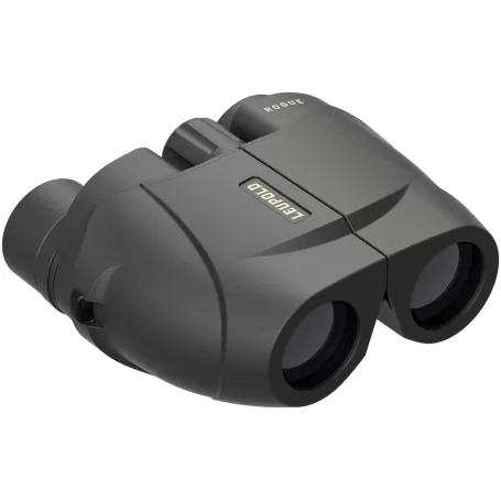 Prismático LEUPOLD BX-1 Rogue Compact - 10x25