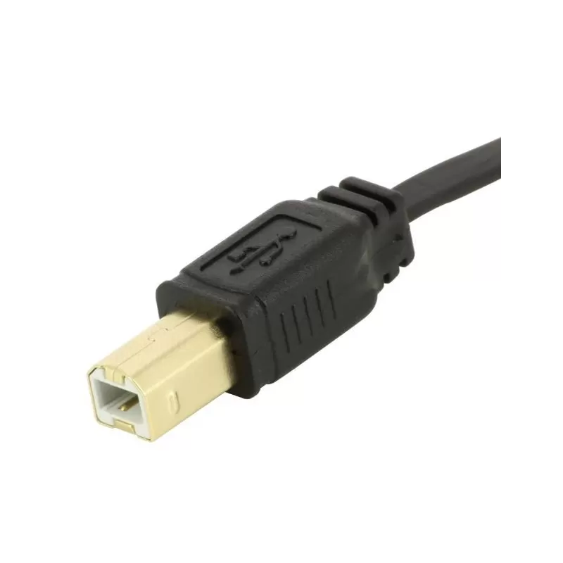 Cabo USB 2.0 B para A ZWO, 50 cm