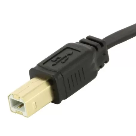 Cabo USB 2.0 B para A ZWO, 50 cm