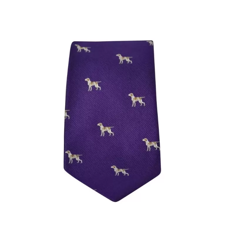 Gravata Oxford Azul Cachorro Seda Roxa