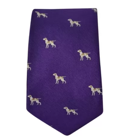 Gravata Oxford Azul Cachorro Seda Roxa