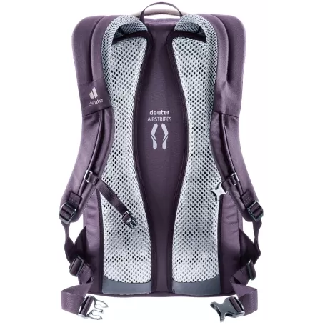 Deuter Giga Roxo, Cinza