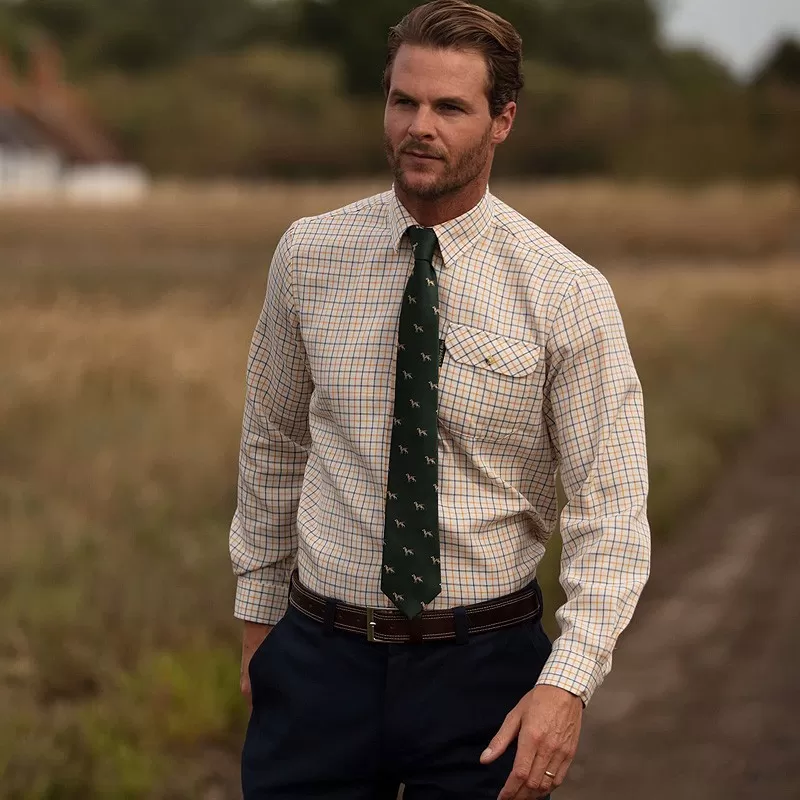 Gravata de seda Oxford Blue Dog Verde