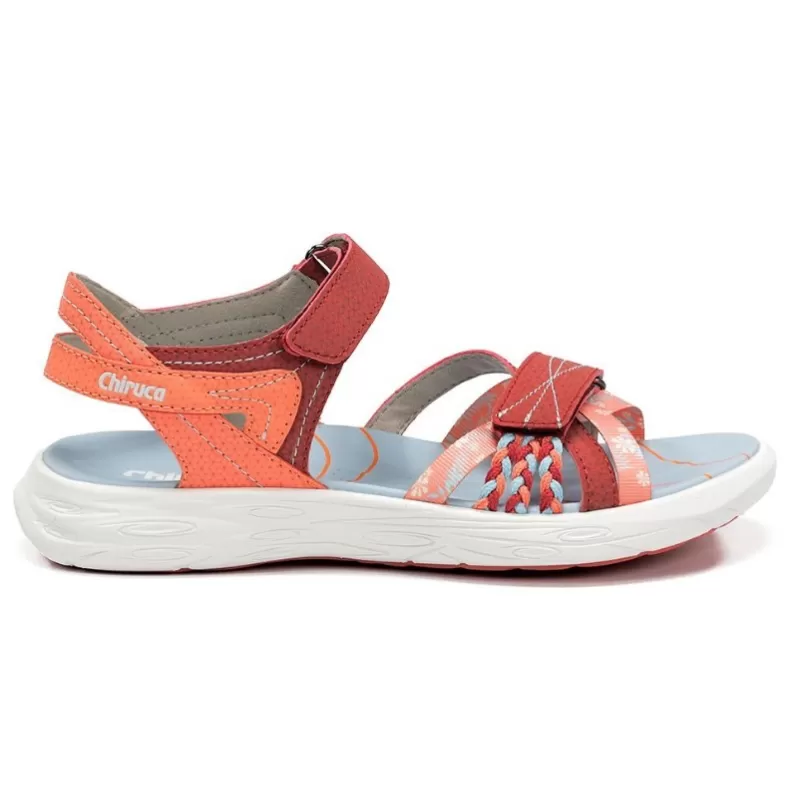 CHIRUCA BARBATE BORDEAUX CORAL CHIRUCA BARBATE BORDEAUX CORAL