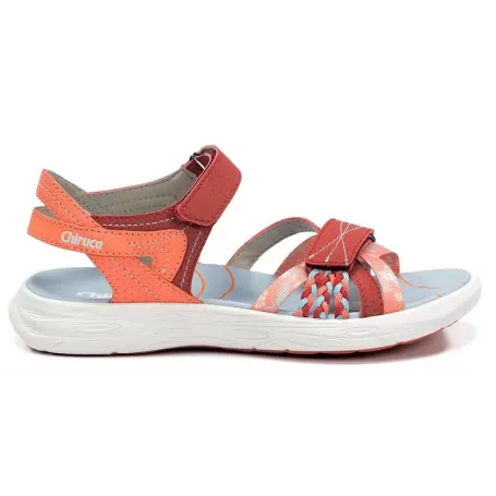 CHIRUCA BARBATE BORDEAUX CORAL CHIRUCA BARBATE BORDEAUX CORAL