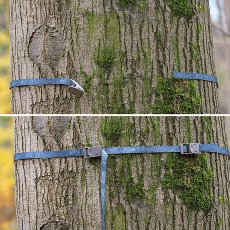 Faixa de árvore ZEISS Secacam