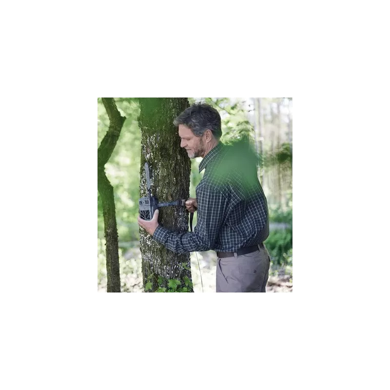 Faixa de árvore ZEISS Secacam