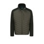 Chaqueta Oxford Blue Oslo Olive