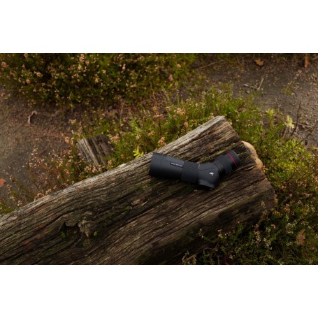 Kite Optics Telescopio SP 56 + 12-36x