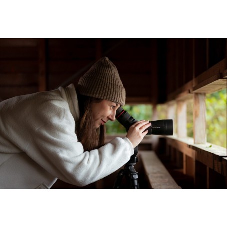 Kite Optics Telescopio SP 56 + 12-36x