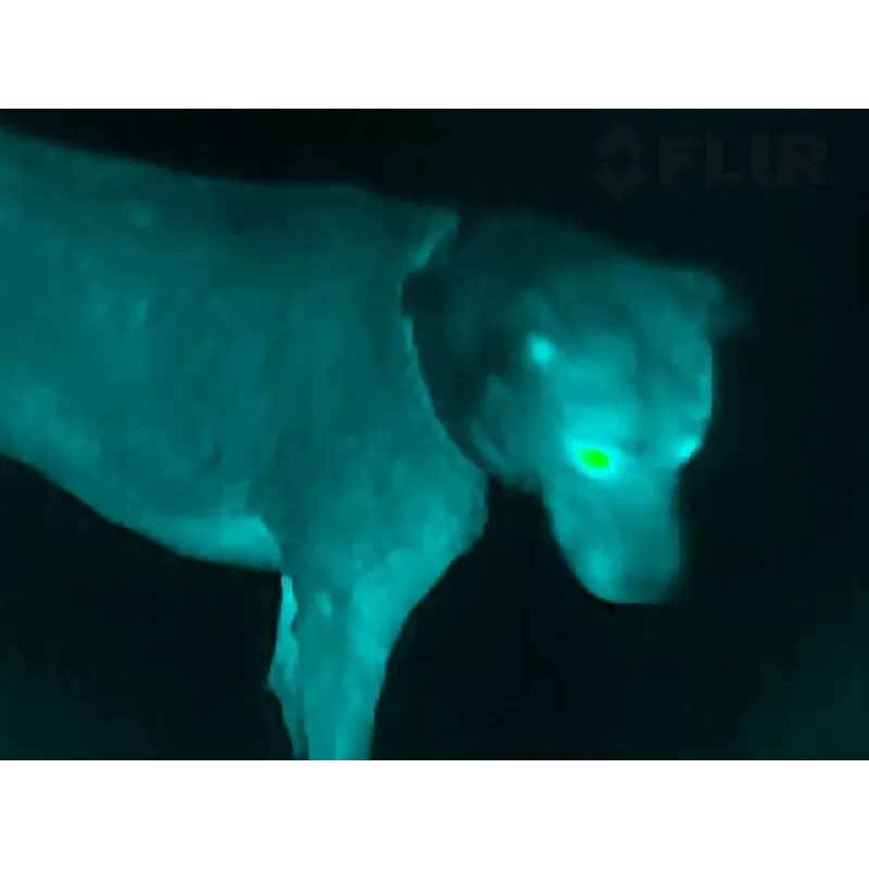 Monóculo de visão térmica FLIR SCOUT TK - 431-0012-21-00S - Imagem térmica - FLIR - FLIR Thermal Vision