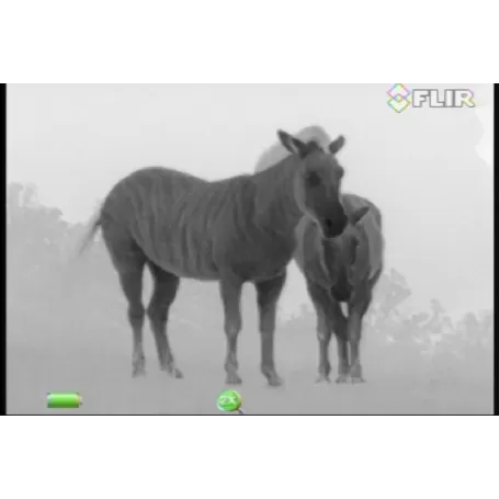 Monóculo de imagem térmica FLIR SCOUT III-640 30HZ - 43100193100 - Imagem térmica - FLIR - Imagem térmica FLIR