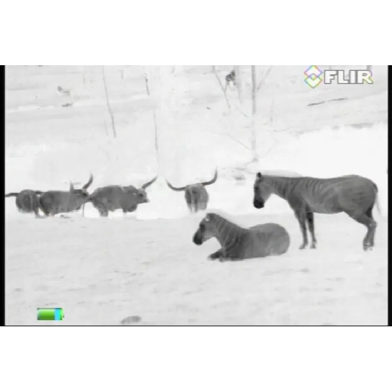 Monóculo de imagem térmica FLIR SCOUT III-640 30HZ - 43100193100 - Imagem térmica - FLIR - Imagem térmica FLIR