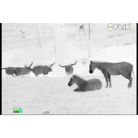 Monóculo de imagem térmica FLIR SCOUT III-640 30HZ - 43100193100 - Imagem térmica - FLIR - Imagem térmica FLIR