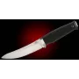 PHKz 3G  CAZADOR PROFESIONAL – Guarda INOX - ZYTEL - PHKz - Fallkniven - Cuchillos Fällkniven