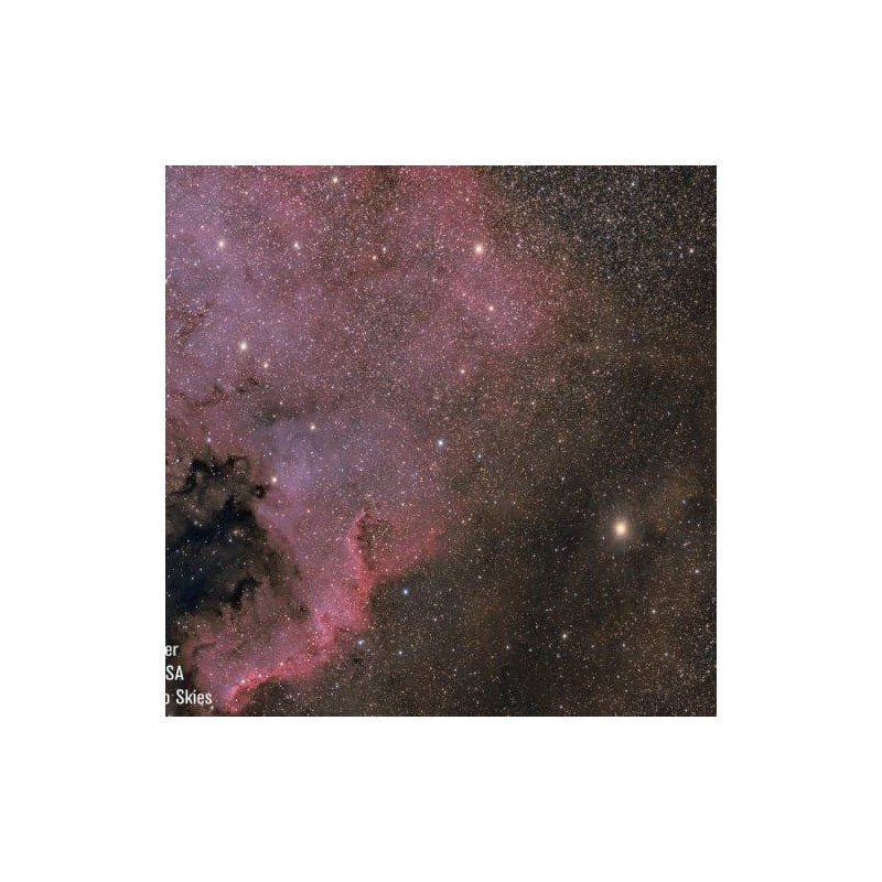 Celestron Astrograph Rowe Ackermann 14"
