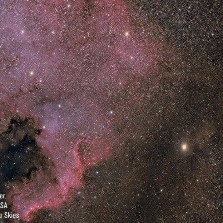 Celestron Astrograph Rowe Ackermann 14"