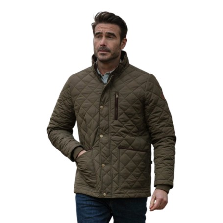 Chaqueta Oxford Blue Aron Quilted Olive
