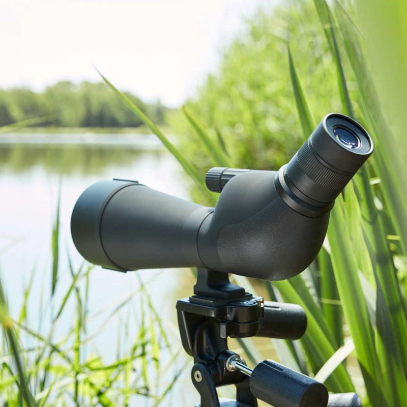 Telescopio NOBLEX NS 20-60x80 ED