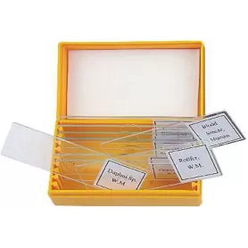 Kit de Amostra BBI - Amostras - BBI - Amostras Preparadas