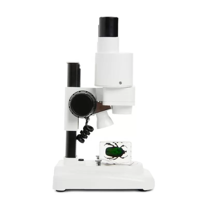 Microscópio LABS S20 - CM44207 - Celestron - Microscópios Estéreo Celestron
