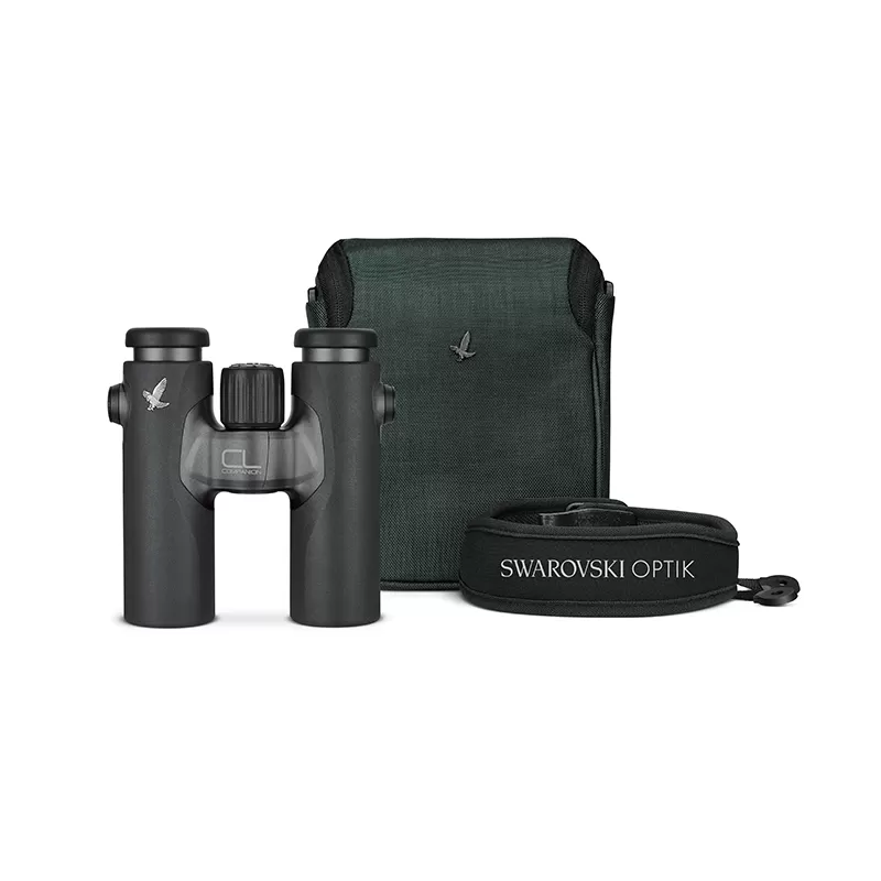CL COMPANION 10x30 B antracite + Capa verde exclusiva CL COMPANION 10x30 B antracite + Capa verde exclusiva