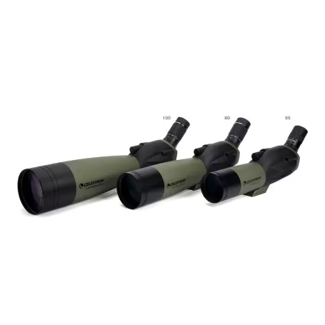 Últimos 80 - CC52250-DS - Celestron - Telescópios Celestron