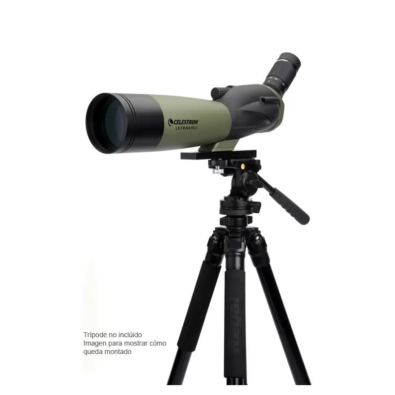 Últimos 80 - CC52250-DS - Celestron - Telescópios Celestron
