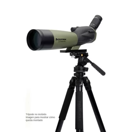 Últimos 80 - CC52250-DS - Celestron - Telescópios Celestron
