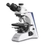 Microscopio para contraste de fases trinocular InfPlan 4-InfPlanPH 10/20/40/100: WF10x20: 20W Hal