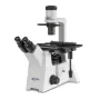 Microscopio de luz transmitida (inverso) binocular Inf Plan 10/20/40/20PH: HWF10x20: 30W Hal
