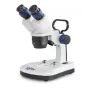 Estereomicroscópio (Accu) Binocular Greenough: 2/4x: WF10x20: LED 1W
