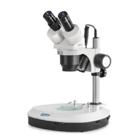Microscópio estéreo binocular Greenough: 1/2x: HSWF10x23: LED de 3W