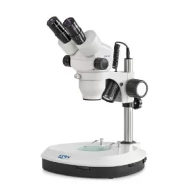 Microscópio estéreo binocular com zoom Greenough: 0