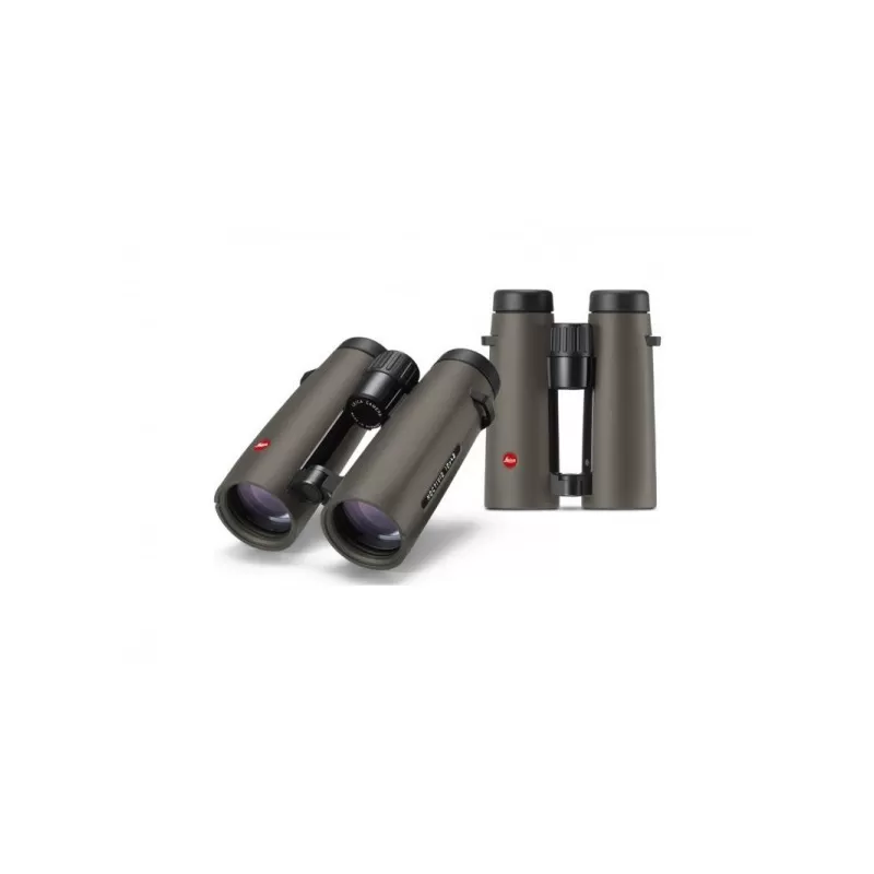 NOCTIVID 8x42, verde