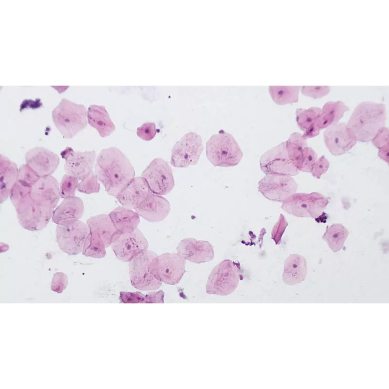 Preparações de longa duração de qualidade profissional BRESSER - 10 peças