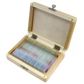 Amostras preparadas por BRESSER: Histologia