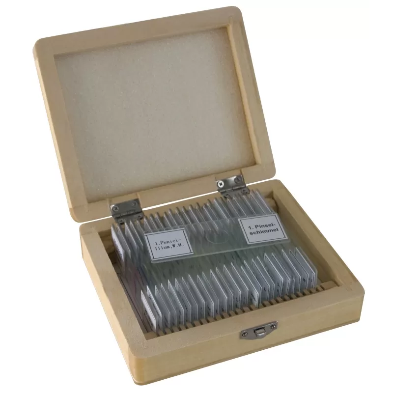 Amostras preparadas pela BRESSER, caixa com 25 unidades Amostras preparadas pela BRESSER, caixa com 25 unidades