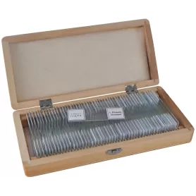 Amostras preparadas pela BRESSER 50 unidades/Caixa