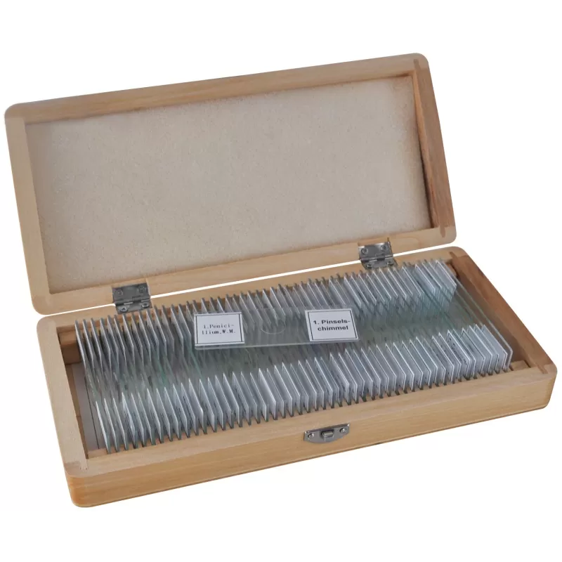 Amostras preparadas pela BRESSER 50 unidades/Caixa Amostras preparadas pela BRESSER 50 unidades/Caixa