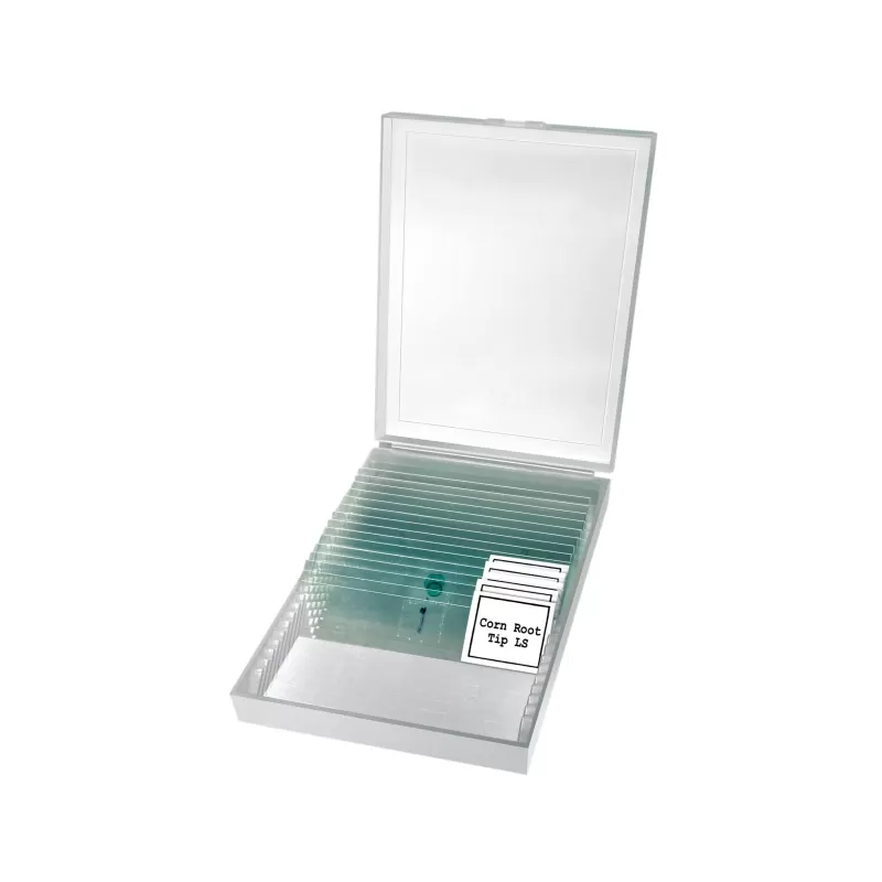 Microscópio Binométrico Básico BRESSER Erudit 40x-400x (23)