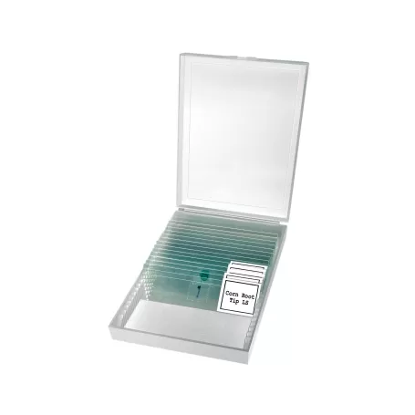 Microscópio Binométrico Básico BRESSER Erudit 40x-400x (23)