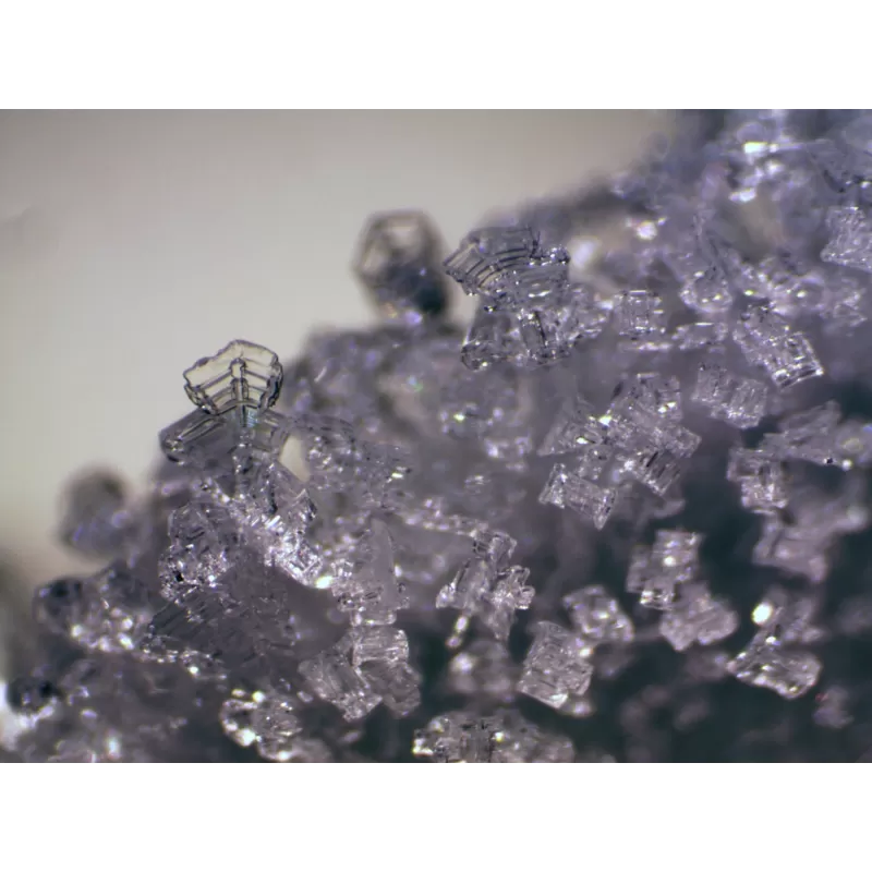 Estereomicroscópio BRESSER Erudit ICD (30,5)