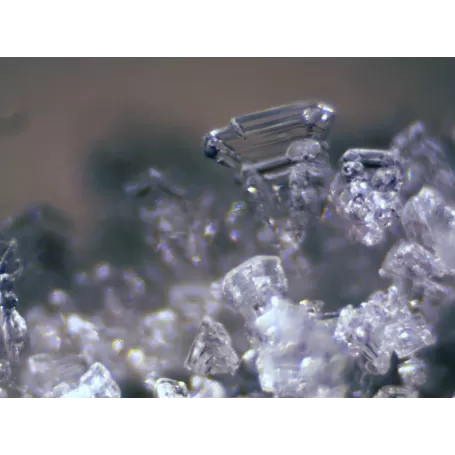 Estereomicroscópio BRESSER Erudit ICD (30,5)