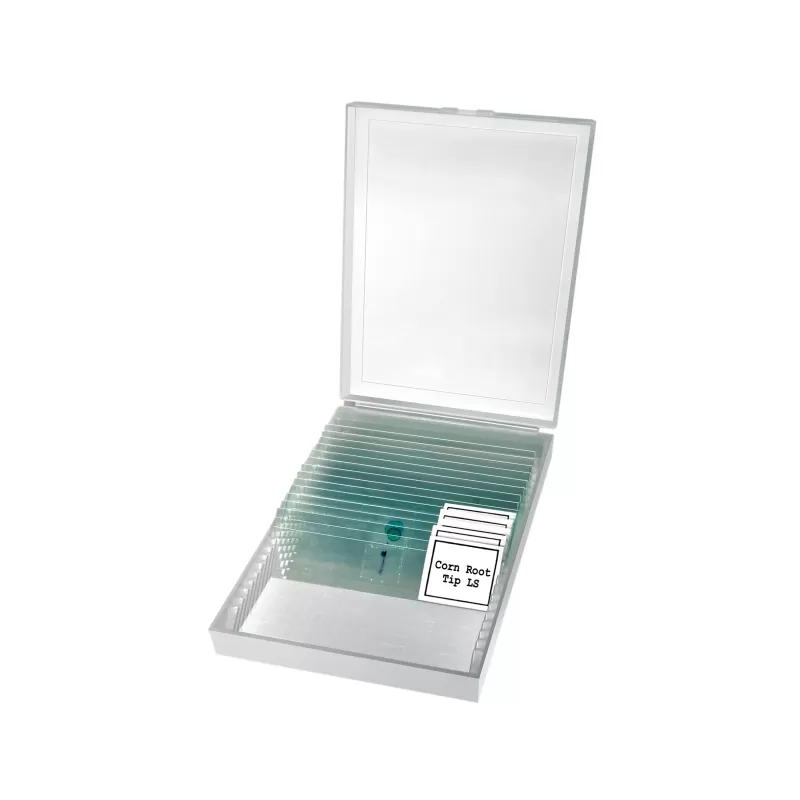 Microscópio Mono Básico BRESSER Erudit 40x-400x (23)